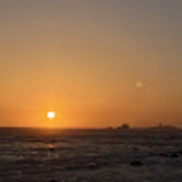 Meet your Posher, Sienna - Picture 1 of 1